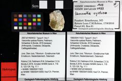 Foto (Objket + Etiketten) von Cracensigillatus acutirostris (Moericke, 1889) 